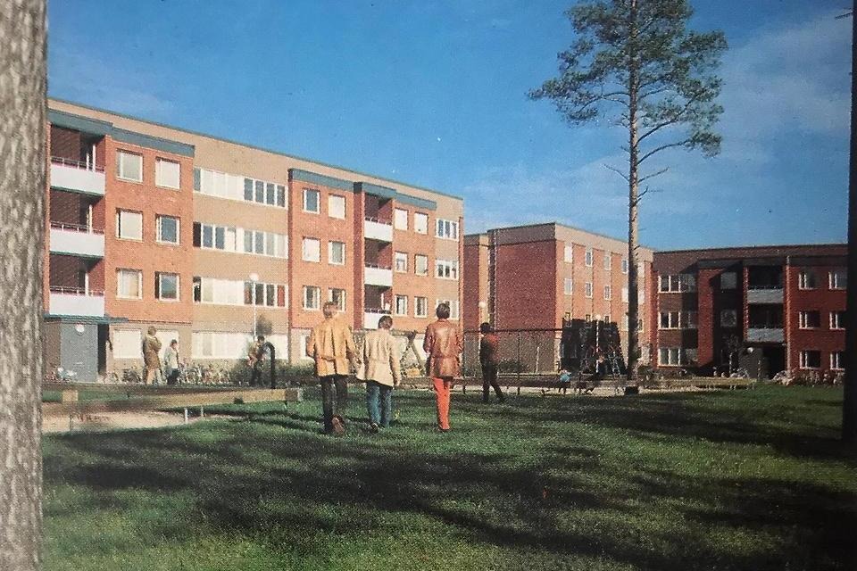 Akademin i storskogen, som Umeå universitet ibland kallats, skapade behov av studentbostäder. Totalt byggdes nära 4 400 lägenheter – de flesta enkelrum, åren 1958–72, på Ålidbacken, Berghem, Mariehem, Ålidhem och Carlshem. Broschyr, Umeå stad och sockens arkiv, Folkrörelsearkivet i Västerbotten.