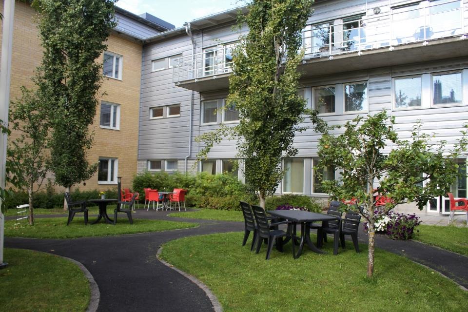 Trädgård med gångväg, bord och stolar