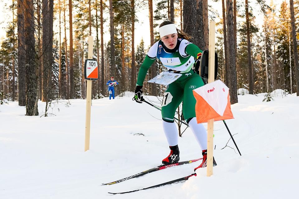 Skidorienterare i skogen under en SM-tävling i Boden 2024. Foto: Carl Sandin/Bildbyrån.
