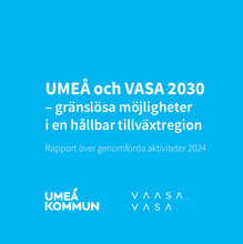 Bild på rapportens framsida