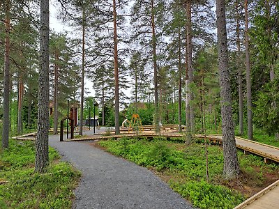 Vindlande träspång genom skogen vid lekplatsen i Ersmark.