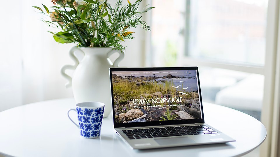 Ange alt-text; vad bilder föreställer.