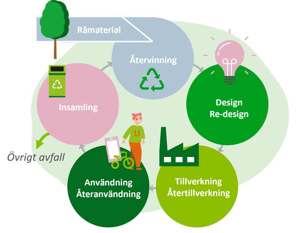 Illustration som visar cirkulär ekonomi Råmaterial kommer in i cirkeln, Design och re-design, Tillverkning och återtillverkning, Användning och återanvändning, Insamling, Återvinning. Sedan börjar det om.