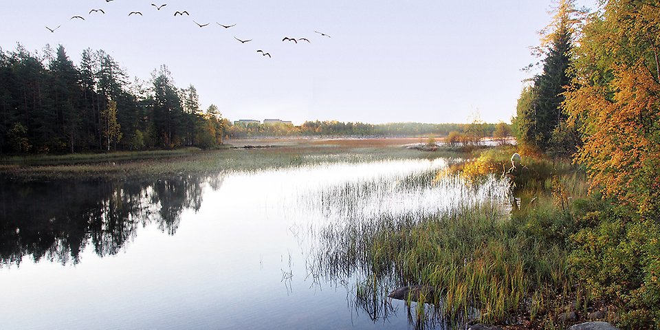 Om man står på Kinabron ser man Noret och man skymtar Tomtebo strand...
